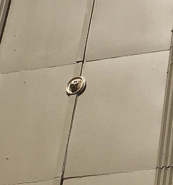 Riviera Theatre - From Jeff Young (newer photo)